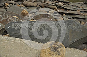 Stones inscribed with Buddhist mantra Om Mani Padme Hum in Ladakh, INDIA