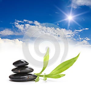 Stones, leaf and sky