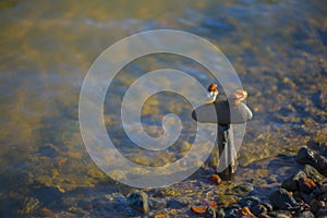 The stones are located in a natural balance on the river