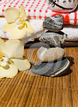 Stones and Lotus Wellness