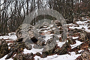 Stones among melting snow on a slope in a spring mountain forest