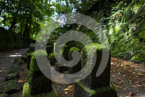 Stones with moss in sun in Kagoshima