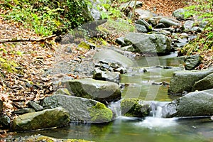 Stones. Mountain stream. The rocky shore. Water flows over rocks.