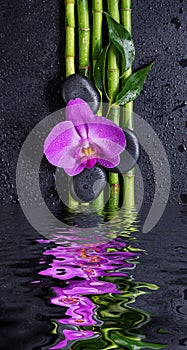 Stones, orchid flower and bamboo reflected in a water