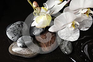 Stones and orchid flowers in water on background. Zen lifestyle