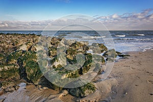 Stones overgrown with algae.