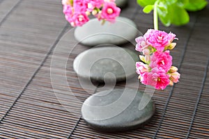 Stones path with flowers for zen spa background. H