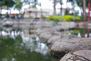 Stones path on pond with blurry trees as background