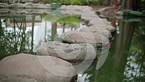 Stones path on pond with blurry trees as background