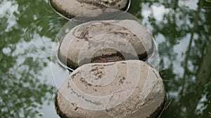 Stones path on pond with reflective green water