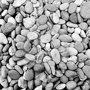 Stones at pebble beach : black and white shot