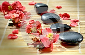 Stones and petals