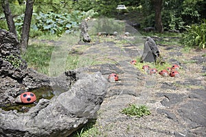 Stones in the public garden