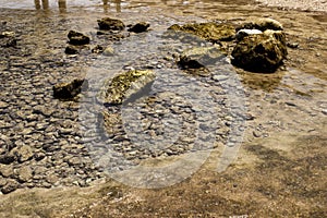 Stones in the pure water. Sea or ocene coast