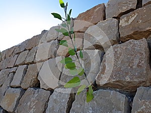 Stones put together create a wall texture background