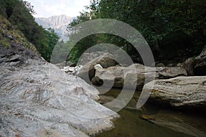 Stones reflected in the stream