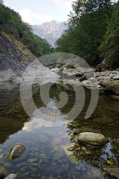 Stones reflected in the stream