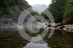 Stones reflected in the stream
