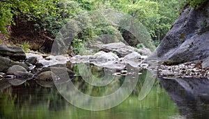 Stones reflected in the stream