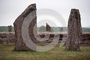 Stones of Ring of Brodgar, Scotland