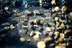 Stones in the river bed photo