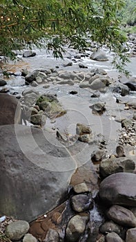 Stones in the river. Rocks in the shallow river.