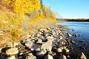 Stones in River Valley