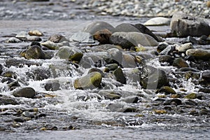 Stones on the riverbed