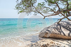 Stones rock at Koh Tao island beach Surat Thani, Thailand  or Turtle island under blue sky in summer day