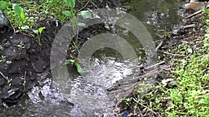 Stones and rocks covered by moss along water stream flowing through green summer forest