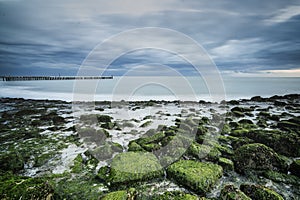 Stones and rocks covered in seaweed and barnacles at low tide along the coast with passing cloudy skies at twilight