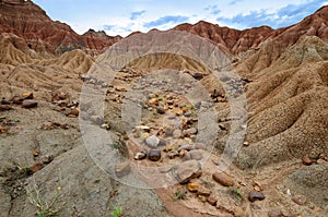 Stones in sand formations of Tatacoa desert