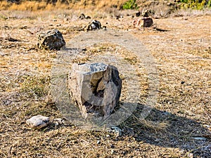 Stones among the scorched grass