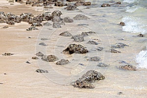 Stones on the seashore as a background