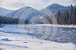 Stones with snow caps in the water of Altai Biya river under heavy snow in winter season with forest on background