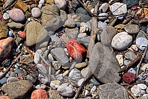 Stones and sticks from the branches