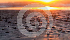 Stones in the sunset on a beach