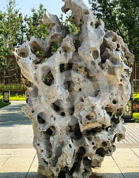 Stones from taihu lake, jiangsu province