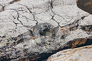 Stones texture and background. Rock texture with different color spots of lichen