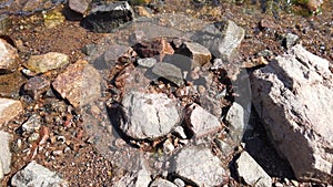 Stones in transparent water. sea waves approaching the rocky shore. water surface with ripples