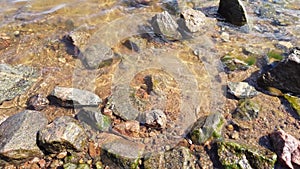 Stones in transparent water. sea waves approaching the rocky shore. water surface with ripples