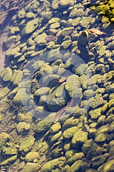 Stones under water as a background