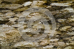 Stones under water. Blurred background