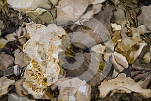 Stones under water. Blurred background