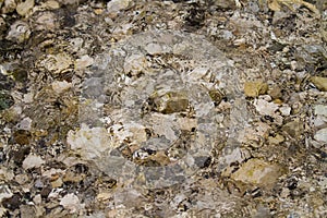 Stones under water. Blurred background