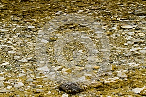 Stones under water. Blurred background