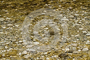 Stones under water. Blurred background