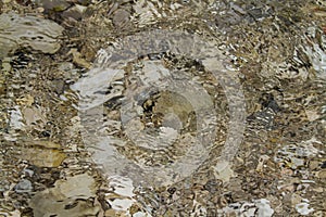 Stones under water. Blurred background