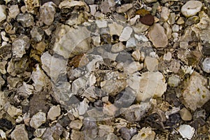 Stones under water. Blurred background