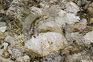 Stones under water. Blurred background